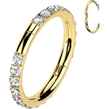 将图片加载到图库查看器，Implant Grade Titanium Forward CZ Double Sided Hoop Segment Ring
