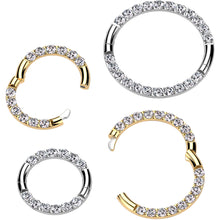 Load image into Gallery viewer, 16G Implant Grade Titanium CZ Double Row Hoop Segment Ring
