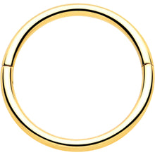 将图片加载到图库查看器，20G Implant Grade Titanium Half Closure Hinged Segment Ring
