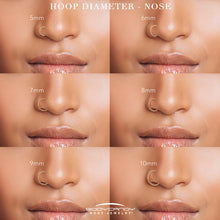 Load image into Gallery viewer, 18G Double Row Micro Gem Implant Grade Titanium Hinged Double Hoop Nose Ring
