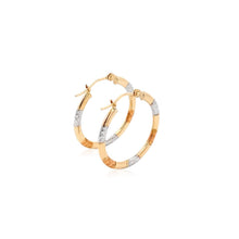 Load image into Gallery viewer, 10k Tri-Color Gold Classic Hoop Earrings with Diamond Cut Details
