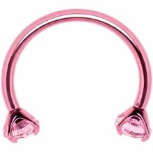 将图片加载到图库查看器，Pink Double Gem Horseshoe Nose Ring - Solid Titanium Anodized
