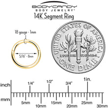 将图片加载到图库查看器，14k Solid Yellow Gold Hinged Segment Ring Elegance 18G 5/16
