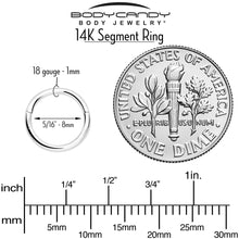 将图片加载到图库查看器，14k Solid White Gold Hinged Segment Ring Elegance 18G 5/16
