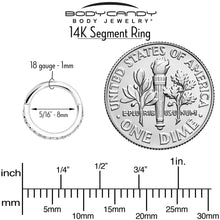 将图片加载到图库查看器，14k Solid White Gold Hinged Segment Ring Forward Facing CZ 18G 5/16

