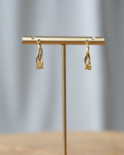 Load image into Gallery viewer, Braided Hoop Earrings
