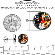 Load image into Gallery viewer, Colorful Trippy Cat Stud Earrings by Onyx O
