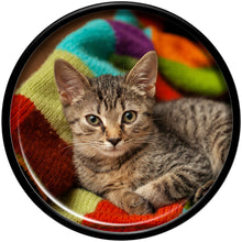 Load image into Gallery viewer, Black Acrylic Custom Photo Saddle Plug - buy 2 for a pair
