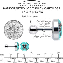 Load image into Gallery viewer, 16G 1/4 Bunny and Crossbones Tragus Cartilage Earring by Onyx O
