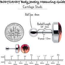 Load image into Gallery viewer, 16G 1/4 Red Sunset Palm Tree Cartilage Tragus Earring by Onyx O
