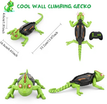 将图片加载到图库查看器，Wall Climbing RC Gecko – Remote Control Lizard Robot
