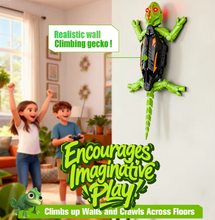 将图片加载到图库查看器，Wall Climbing RC Gecko – Remote Control Lizard Robot
