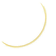 Load image into Gallery viewer, 3.0 mm 14k Two Tone Gold Reversible Omega Necklace
