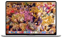 将图片加载到图库查看器，2019 Apple MacBook Pro 16-inch – i9 2.4GHz 16GB RAM 512GB SSD | Radeon Pro 5300M
