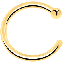 将图片加载到图库查看器，20G 1/4 14k Solid Yellow Gold Nose Hoop
