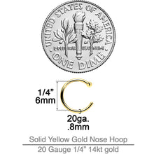 将图片加载到图库查看器，20G 1/4 14k Solid Yellow Gold Nose Hoop
