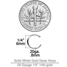 将图片加载到图库查看器，20G 1/4 14k Solid White Gold Nose Hoop
