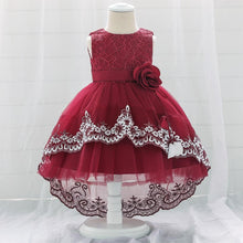 Load image into Gallery viewer, New Baby  Lace  Gown Clothes Embroidered Tail Princess Unique  Dress Perfect Gift For Girls
