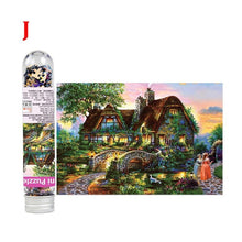 Load image into Gallery viewer, 234 PCS Multi-type Landscape Puzzle Game Test Tube Packaging Educational Toys Or Adults Puzzle Toys Kids
