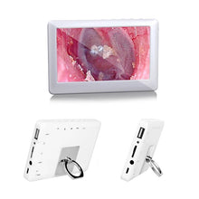 将图片加载到图库查看器，3.9MM HD1080P 2MP Ear Cleaner With 4.3 inch Screen Otoscope Camera Endoscope Camera Digital Otoscope Ear Monitor Earpick

