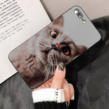 将图片加载到图库查看器，Cute Cat Black Phone Case For IPhone 13 8 7 6 6S Plus X 5 5S SE 2020 XR 11 Pro XS MAX Slim Fit Soft Print Design Flexible Silicone Cover For iPhone
