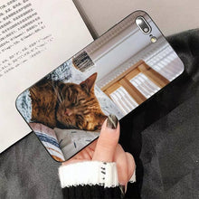 将图片加载到图库查看器，Cute Cat Black Phone Case For IPhone 13 8 7 6 6S Plus X 5 5S SE 2020 XR 11 Pro XS MAX Slim Fit Soft Print Design Flexible Silicone Cover For iPhone
