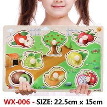 Load image into Gallery viewer, New Hand Grab Board Wooden Puzzle Toys for Children Cartoon Animal Fruit  Kids Baby Early Educational Learning Toy
