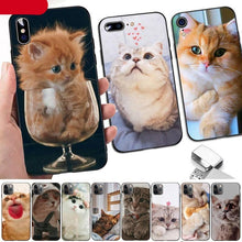 将图片加载到图库查看器，Cute Cat Black Phone Case For IPhone 13 8 7 6 6S Plus X 5 5S SE 2020 XR 11 Pro XS MAX Slim Fit Soft Print Design Flexible Silicone Cover For iPhone
