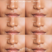 Load image into Gallery viewer, Micro Gem Titanium Hinged Double Nose Hoop
