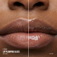 将图片加载到图库查看器，Lip Plumping Gloss
