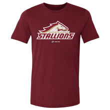 将图片加载到图库查看器，Birmingham Stallions Primary Logo WHT
