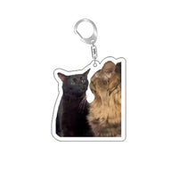 Load image into Gallery viewer, Funny Cat Memes Series Keychain Student Gift Bag Lanyard  Women's Bag Pendant Keychain Cute Things Cheap Gift For Best Friends
