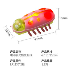 将图片加载到图库查看器，Interactive Mini Electric Bug Cat Toy – Battery Operated Flip Beetle
