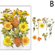 Load image into Gallery viewer, For Fun DIY Embossed Dried Flower Resin Fillings Real Flower for Home Decoration Nail Art Handicrafts Jewelry Making Crafts
