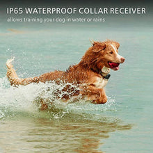 Load image into Gallery viewer, VIP Electric Dog Training Collar Waterproof Dog Bark Collar Pet With Remote Control Rechargeable Anti Barking Device Equipment
