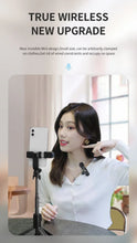 Load image into Gallery viewer, Basix Wireless Lavalier Microphone Audio Recording Mini Replaceable Windproof Wool Microphone for iPhone16 Shoot vlog YouTube
