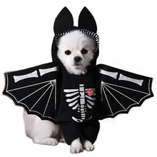 Load image into Gallery viewer, 1PCS Halloween Dagger Pet Transformation Dress Festival Funny Knife Holding Dog Clothes Cat Standing Dress Pet Dress Up
