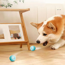 Load image into Gallery viewer, Smart Cat Rolling Ball Toys Rechargeable Cat Toys Ball Motion Ball Self-moving Kitten Toys for Indoor Interactive Playing Smart Interactive Cat Ball USB Rechargeable Automatic Bouncing Ball for Indoor Kittens
