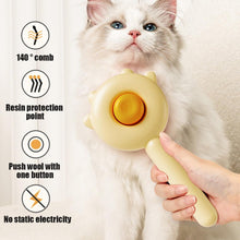 Load image into Gallery viewer, Cat Comb Massage Pet Magic Combs Hair Removal Cat and Dog Universal Needle Brush Pets Grooming Cleaning  Remove Supply Care Set  Pet Hair Cleaner Brush for Dogs Long or Short Hair Cats Pet Massage Brushes
