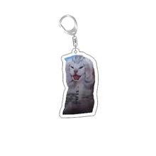 Load image into Gallery viewer, Funny Cat Memes Series Keychain Student Gift Bag Lanyard  Women's Bag Pendant Keychain Cute Things Cheap Gift For Best Friends
