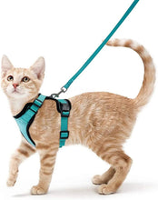 Load image into Gallery viewer, Cat Harness and Leash – Soft Adjustable Escape-Proof Vest for Walking Cats
