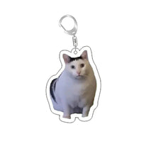Load image into Gallery viewer, Funny Cat Memes Series Keychain Student Gift Bag Lanyard  Women's Bag Pendant Keychain Cute Things Cheap Gift For Best Friends
