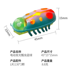 将图片加载到图库查看器，Interactive Mini Electric Bug Cat Toy – Battery Operated Flip Beetle
