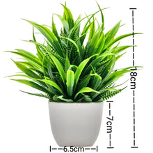 将图片加载到图库查看器，Artificial Plants with Plastic Pots for Home Decor
