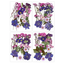 Load image into Gallery viewer, For Fun DIY Embossed Dried Flower Resin Fillings Real Flower for Home Decoration Nail Art Handicrafts Jewelry Making Crafts

