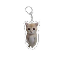 Load image into Gallery viewer, Funny Cat Memes Series Keychain Student Gift Bag Lanyard  Women's Bag Pendant Keychain Cute Things Cheap Gift For Best Friends
