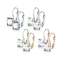 Load image into Gallery viewer, 8mm Princess CZ Stainless Steel Leverback Earrings
