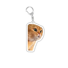 Load image into Gallery viewer, Funny Cat Memes Series Keychain Student Gift Bag Lanyard  Women's Bag Pendant Keychain Cute Things Cheap Gift For Best Friends
