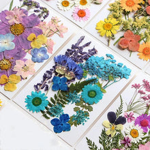Load image into Gallery viewer, For Fun DIY Embossed Dried Flower Resin Fillings Real Flower for Home Decoration Nail Art Handicrafts Jewelry Making Crafts
