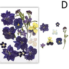 Load image into Gallery viewer, For Fun DIY Embossed Dried Flower Resin Fillings Real Flower for Home Decoration Nail Art Handicrafts Jewelry Making Crafts
